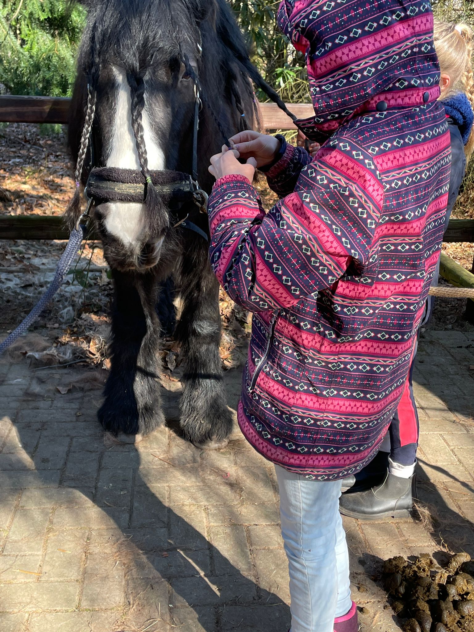 hond soulhorses