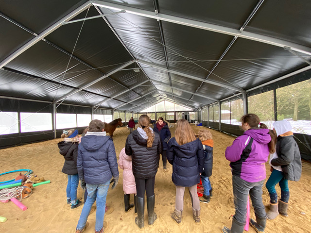 Natuurbeleving voor kinderne - soulhorses