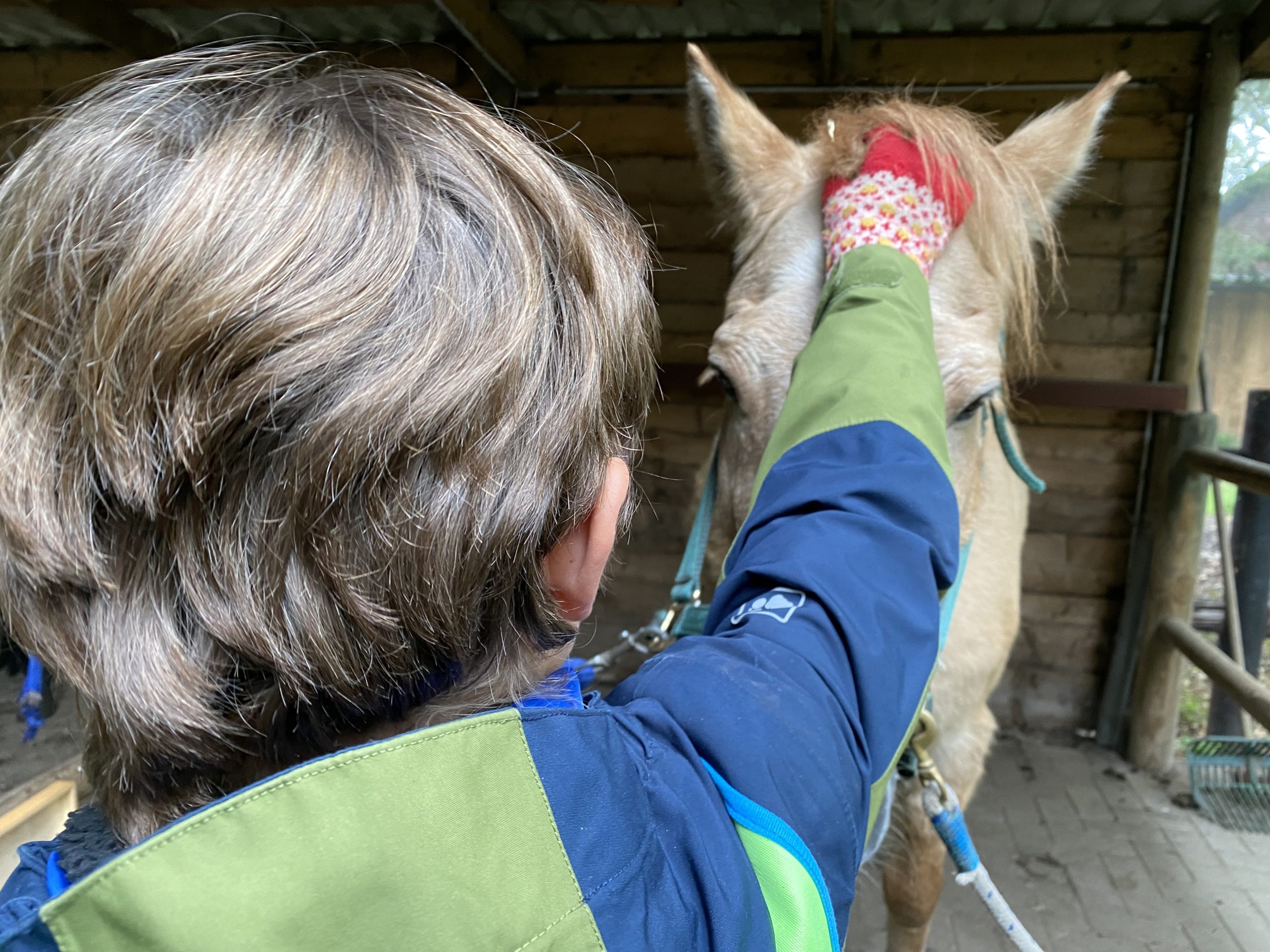 Natuurbeleving soulhorses paarden